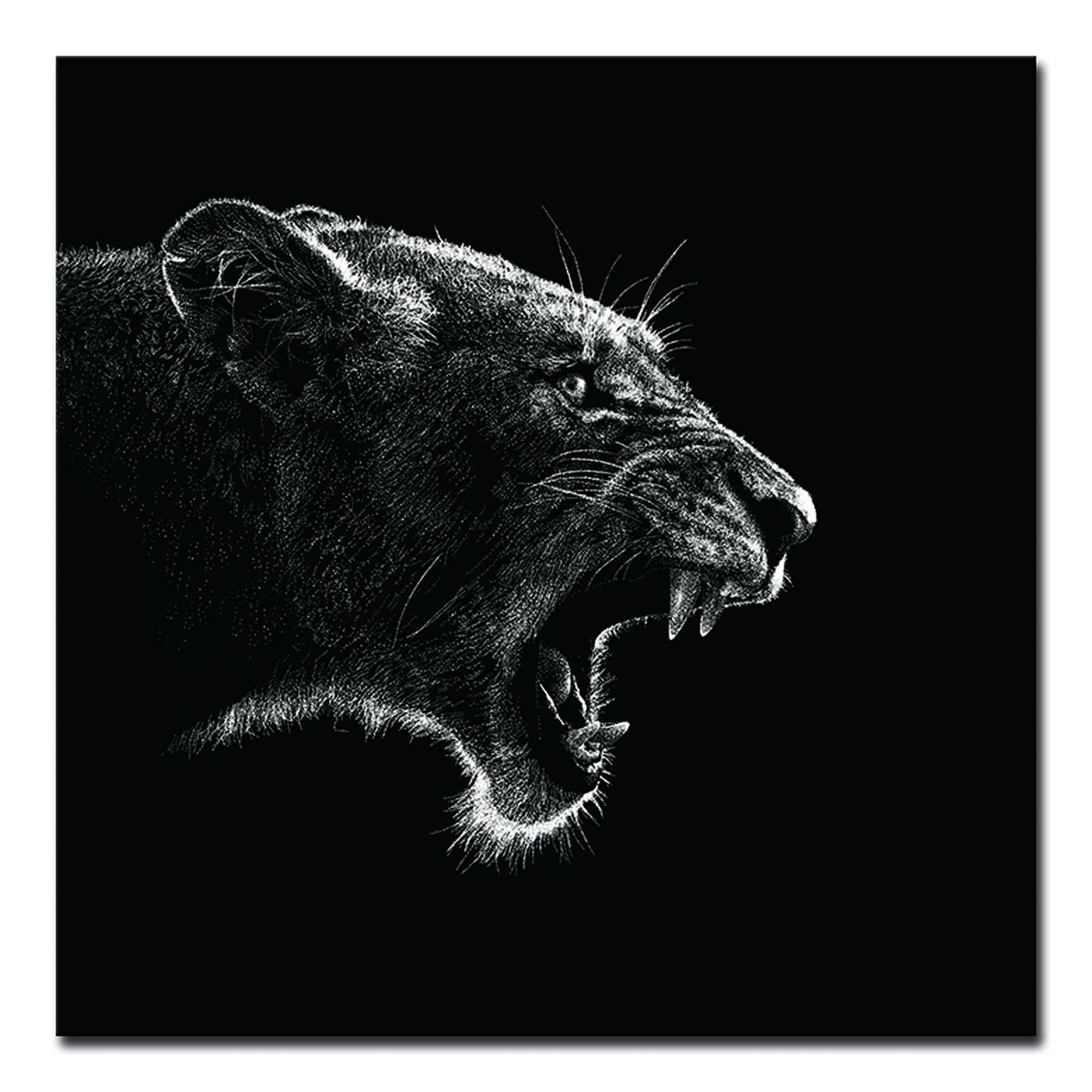 T & J Home Trends Oppidan Home "Roaring Lioness" Acrylic Wall Art (40"H x 40"W)