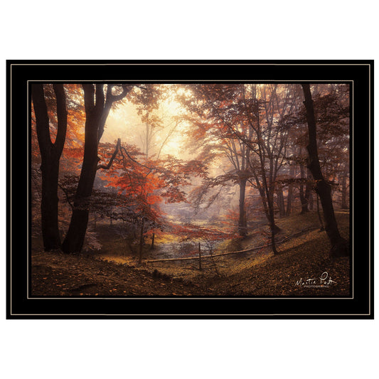 T & J Home Trends "The Pool" by Martin Podt, Ready to Hang Framed Print, Black Frame